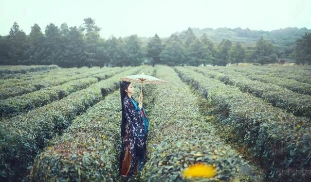 人性最大的弱点：不爱听真话