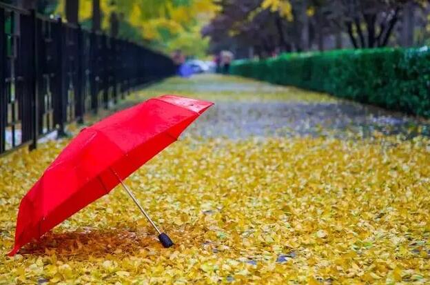 天会下雨，人会变