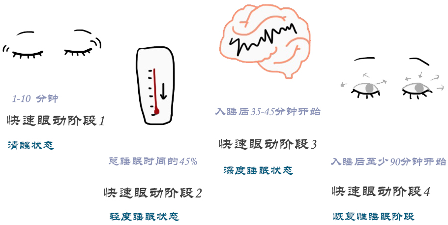 睡眠质量或数量：为什么不考虑一下呢