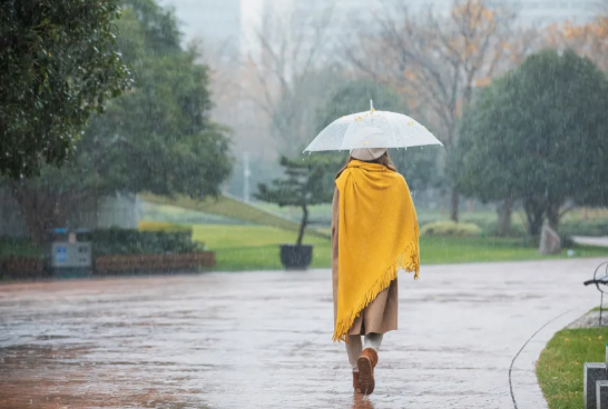 风雨见真情，平淡见真心