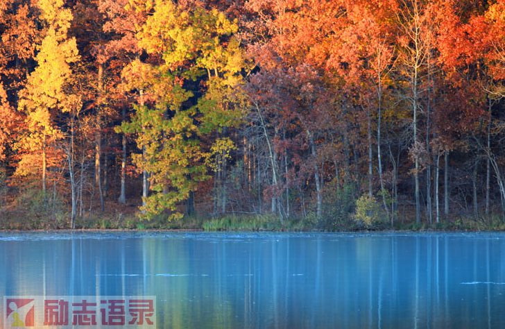 时光的香气