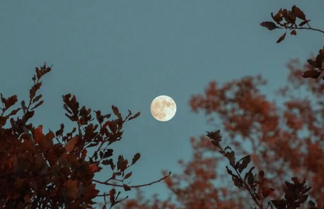 周作人：中秋的月亮