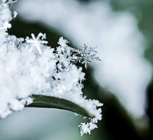 赵华荣：赏雪